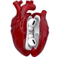 Heart Headphone Case